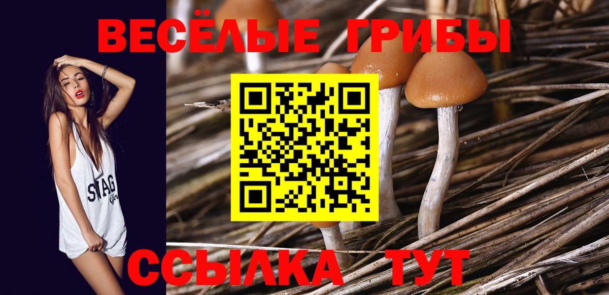 Галлюциногенные грибы Cubensis Павловский Посад