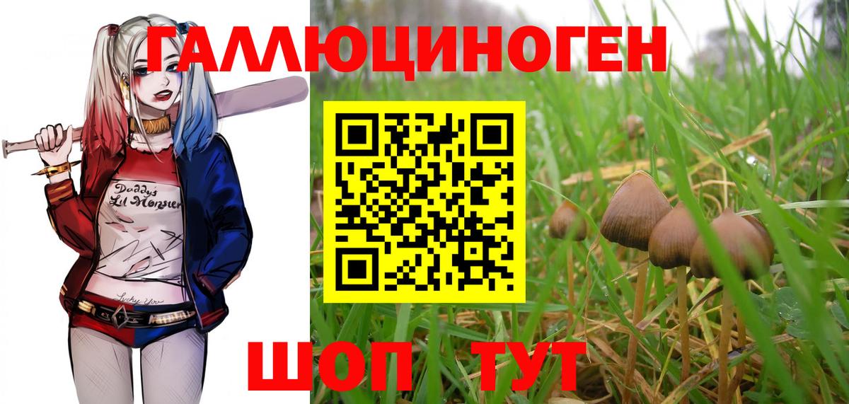 Галлюциногенные грибы Magic Shrooms  Вход с VPN  Псилоцибиновые грибы мицелий  Павловский Посад 
