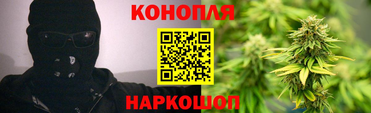 Конопля OG Kush Павловский Посад